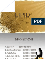 Kelompok II Lipid