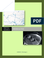 MGII Practica 9 Microcultivo