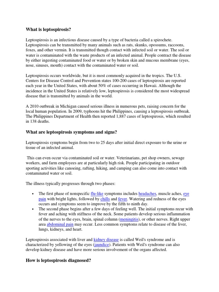 What Is Leptospirosis? FluLike Headaches Eye Pain Chills Fever