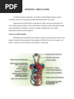 Sistemul Circulator