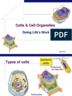 Cells & Cell Organelles: Doing Life's Work