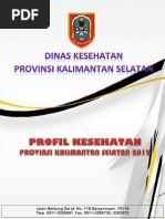 Download 22 Profil KesprovKalimantanSelatan 2012 by Ferdina Nidyasari SN208113128 doc pdf
