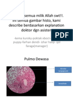 Histo Cardio & Respi