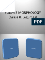 Forage Morphology (Grass & Legumes)