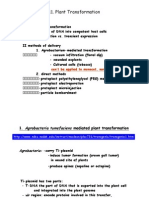 Lecture 11 Digital Signals Systems