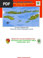 Download Renstra Dinkes Prov Ntt 2009-2013 060509 Final by aderina9032 SN208132231 doc pdf
