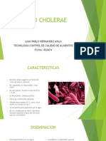 Vibrio Cholerae[2]