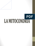 La Mitocondria