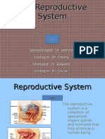 Reproductive 2