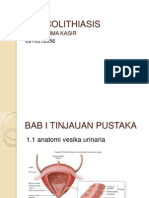 VESICOLITHIASIS