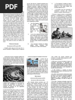 Primeiros Ministros - II - Animarte