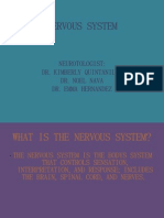 Nervous System:: Neurotologist - DR Kimberly Quintanilla - DR Noel Nava - DR Emma Hernandez