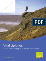 Vital Uplands Vision