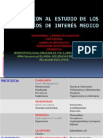 3.- Protozoarios caract grales