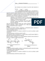 43579Hidrati de Carbon II; Dizaharide Si Polizaharide