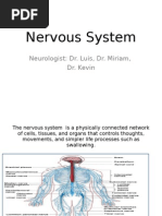 Nervous Period 4