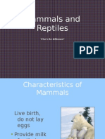 Mammal Rep