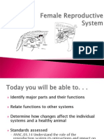 1 female reproductive system