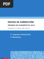 Pauta de Correccion Diagnostico 2014