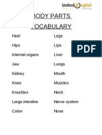 Body Parts Vocabulary 41-60