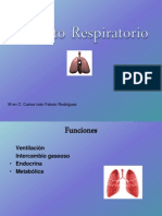 Aparato Respiratorio2