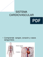 Sistema Cardiovascular