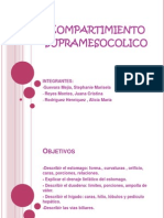 Compartimiento Supramesocolico