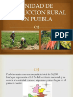 Unidad de Produccion Rural en Puebla