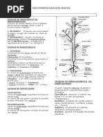 70004199 Colegial02 Histomorfofisiologia Vegetal