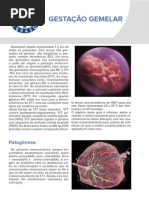 Folder Febrasgo Web1