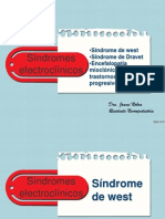 Sindromes Electroclinicos