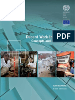 Decent Work Indicators