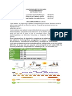 Componentes de La Luz