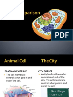 Cell Comparison