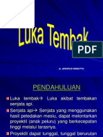 Luka Tembak