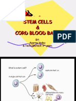 Stem Cells & Cord Blood Bank