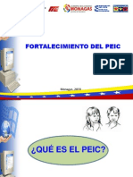 Peic PDF