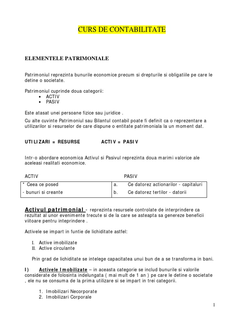Curs Contabilitate | PDF