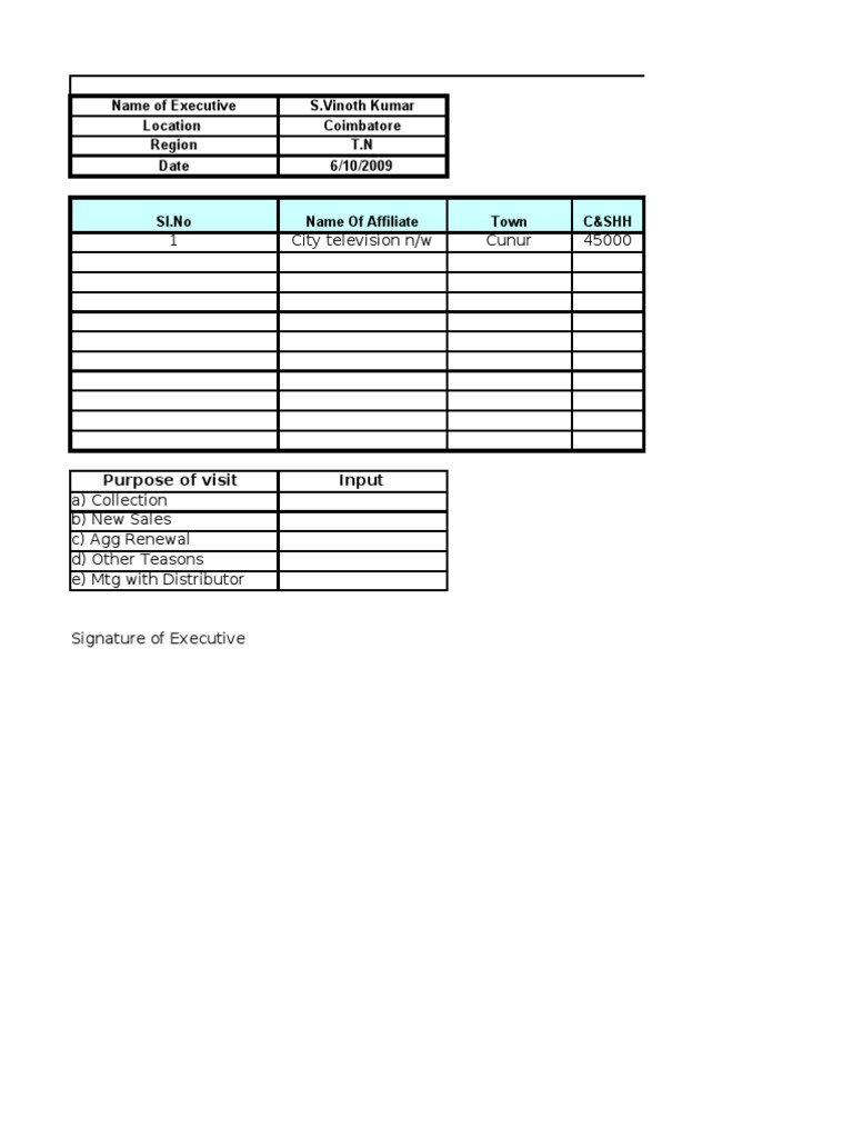 Executive Daily Report: Sales & Billing | PDF