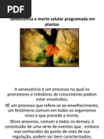 Senescência e morte celular programada em plantas