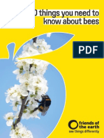 Bees Booklet