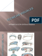 Técnicas Visuales