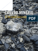 Car Vao Mineral 301