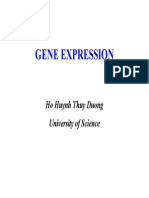 4 Gene Expression