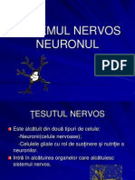 Neuronul