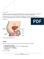 Epididimitis PDF