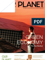 OP 2009 02 Green Economy