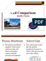 Cell Comparison