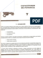 Capítulo 7.pdf