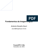 fid.pdf